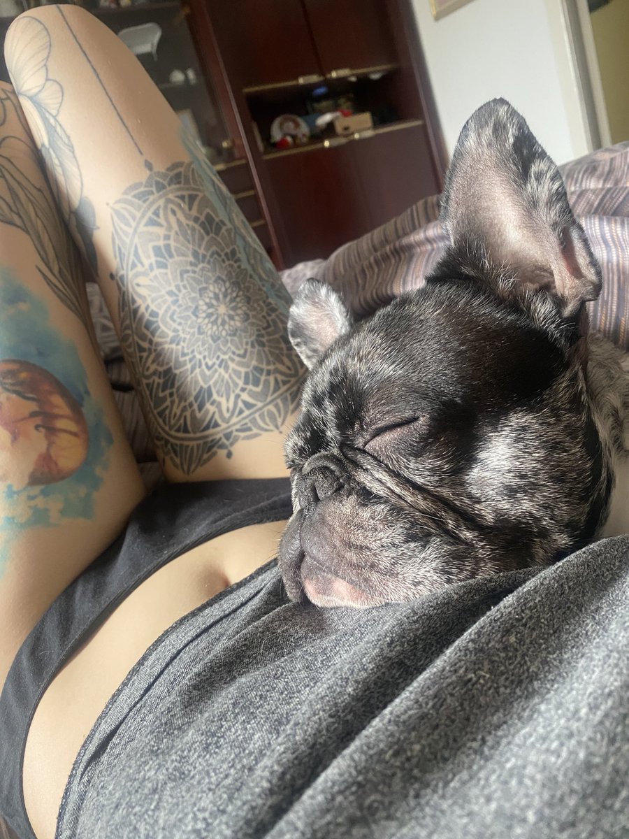 NeveselaBulba's tweet photo. Фібі натякає що вставати з ліжка - жахлива помилка https://t.co/YY6zbWHsJ3