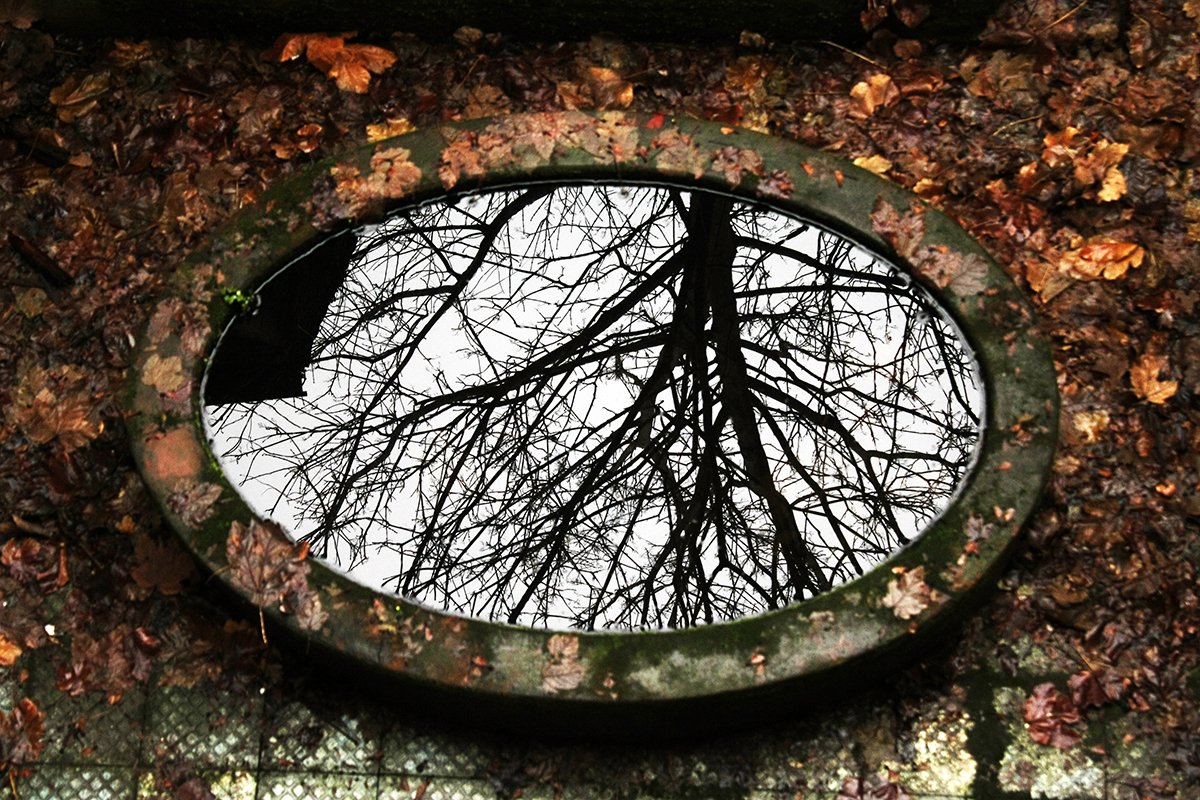 koorosh ranjbar (اکانت تازه) tweet media