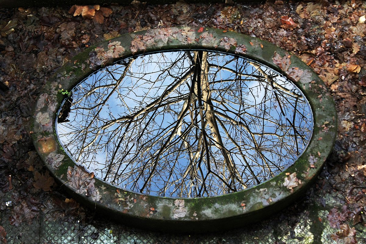 koorosh ranjbar (اکانت تازه) tweet media