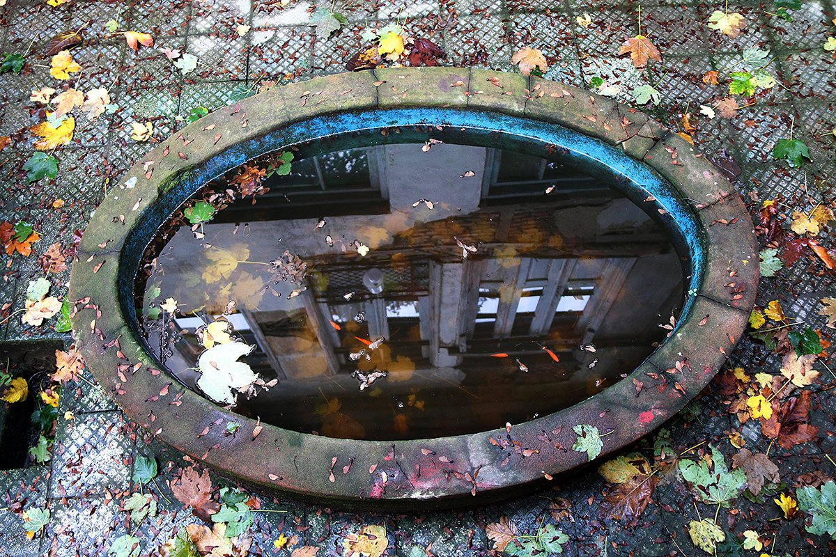 koorosh ranjbar (اکانت تازه) tweet media