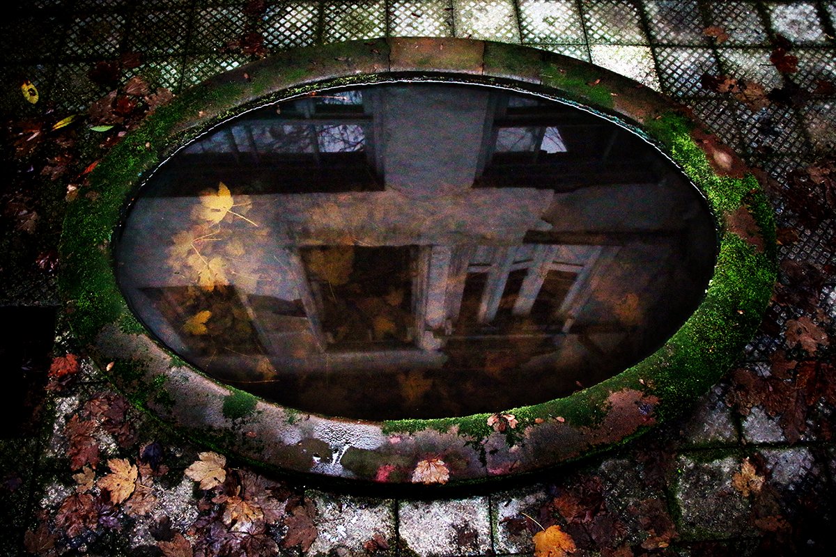 koorosh ranjbar (اکانت تازه) tweet media