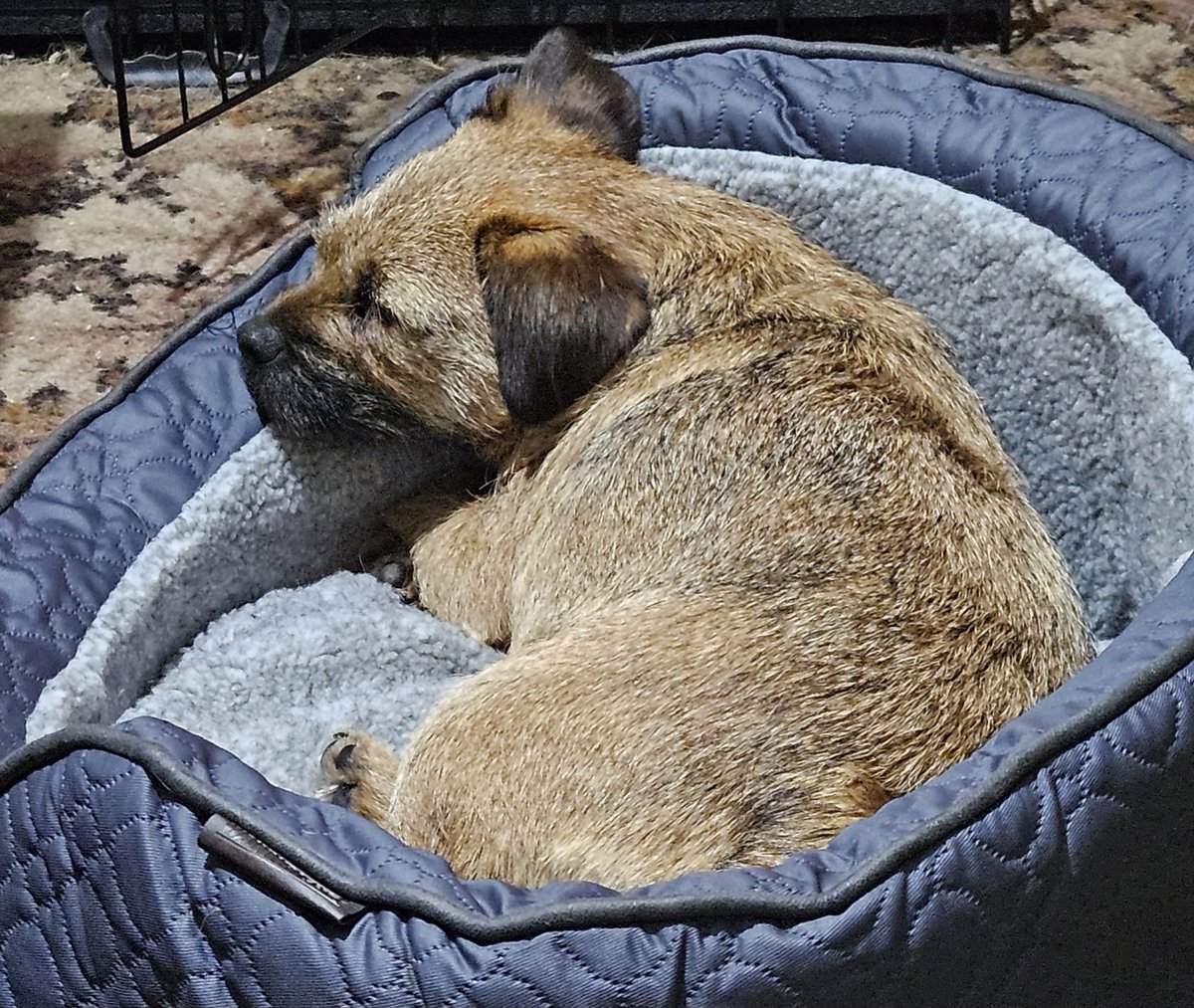 formerly Tilly BT, but now with Maggie tweet media
