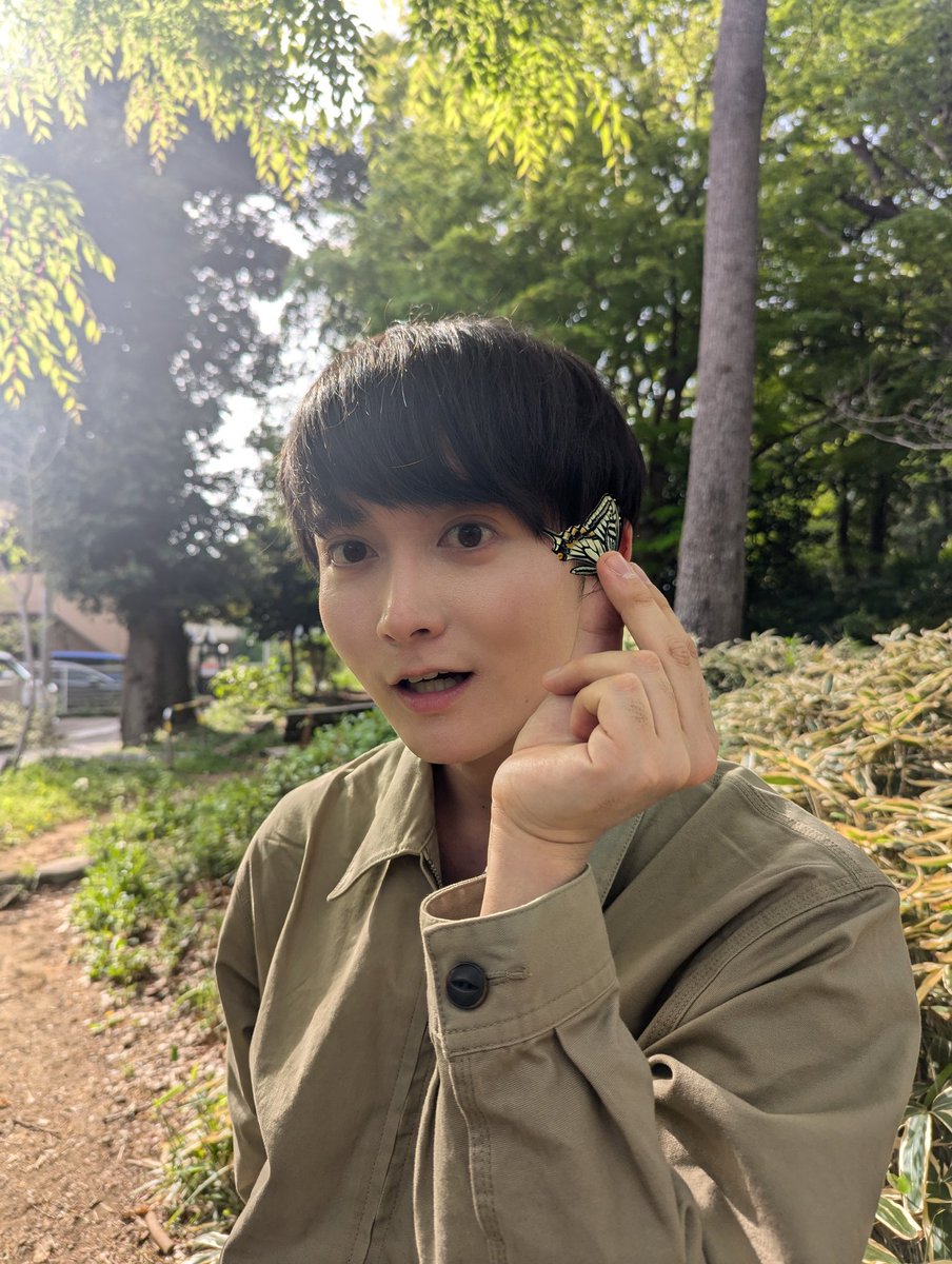shu1014my's tweet photo. ナミアゲハの春型はちょっと小さめだけど、明るめで僕は好きです✨️✨️ https://t.co/3icRbMvIYr