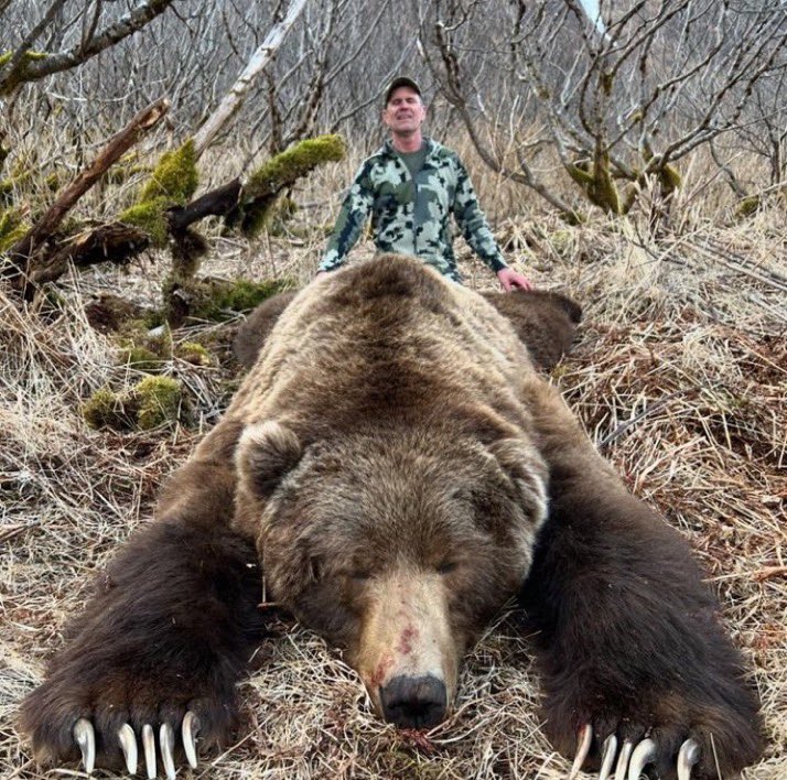 Protect_Wldlife's tweet image. An auction was held by an outfit called Elite Hunt Club to ‘harvest’ this magnificent Kodiak Brown Bear.  

Note the concerning narcissistic grin on the trophy hunter’s face!  

#BanTrophyHunting NOW!! 🚫