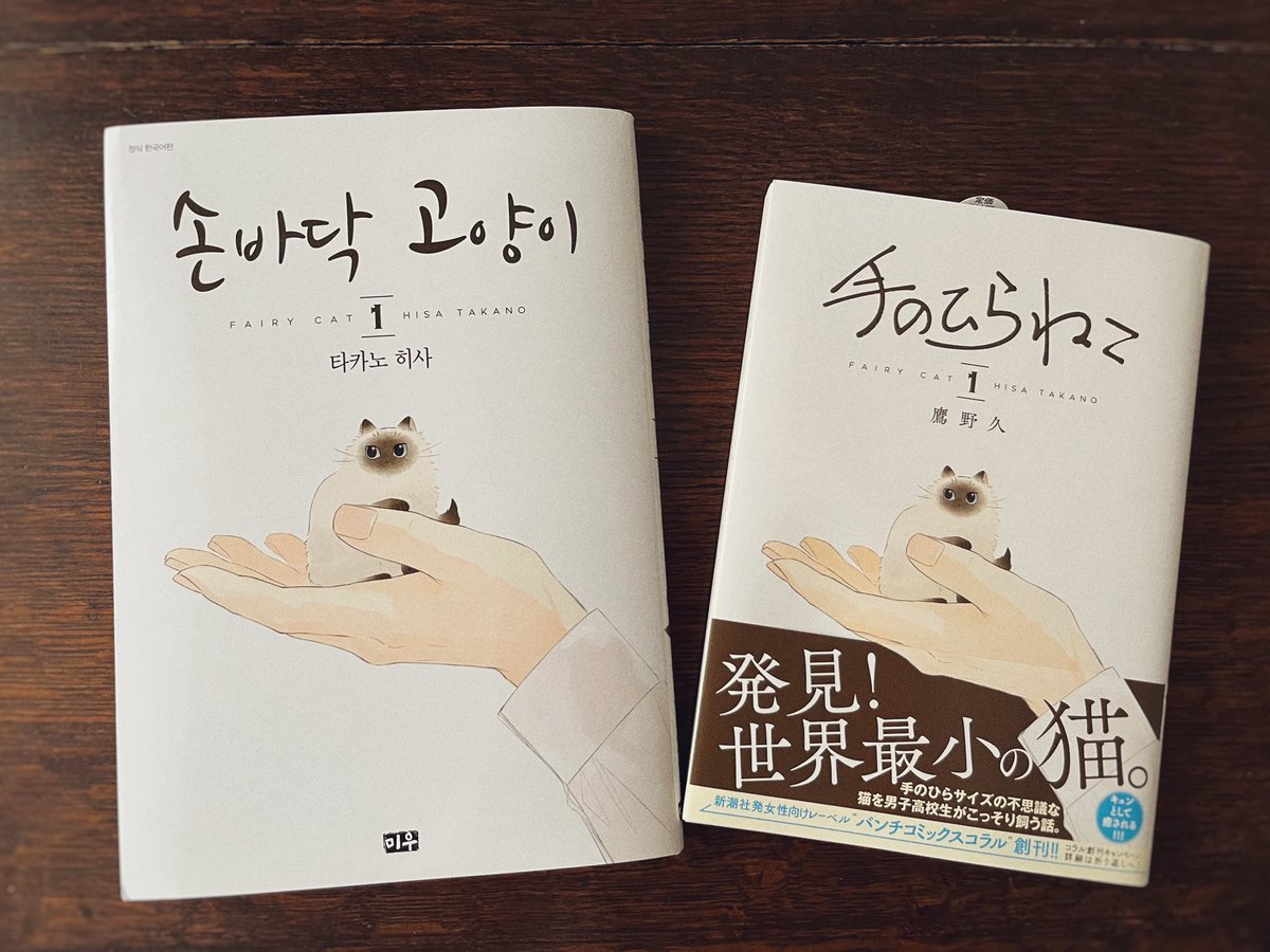 編集部から『手のひらねこ』の韓国語版が届きました！サイズが少し大きい！嬉しいです✨有難うございます！
