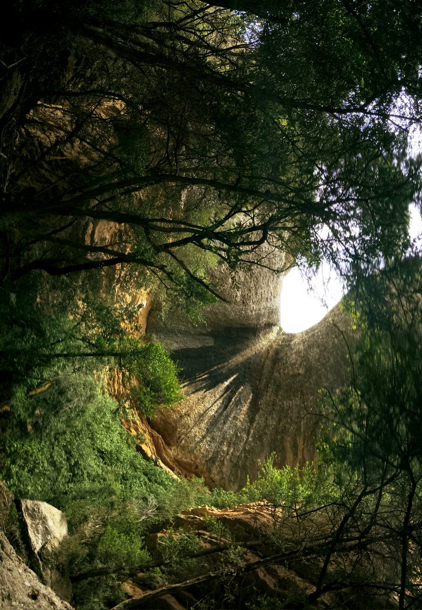 Albert Casanovas tweet media