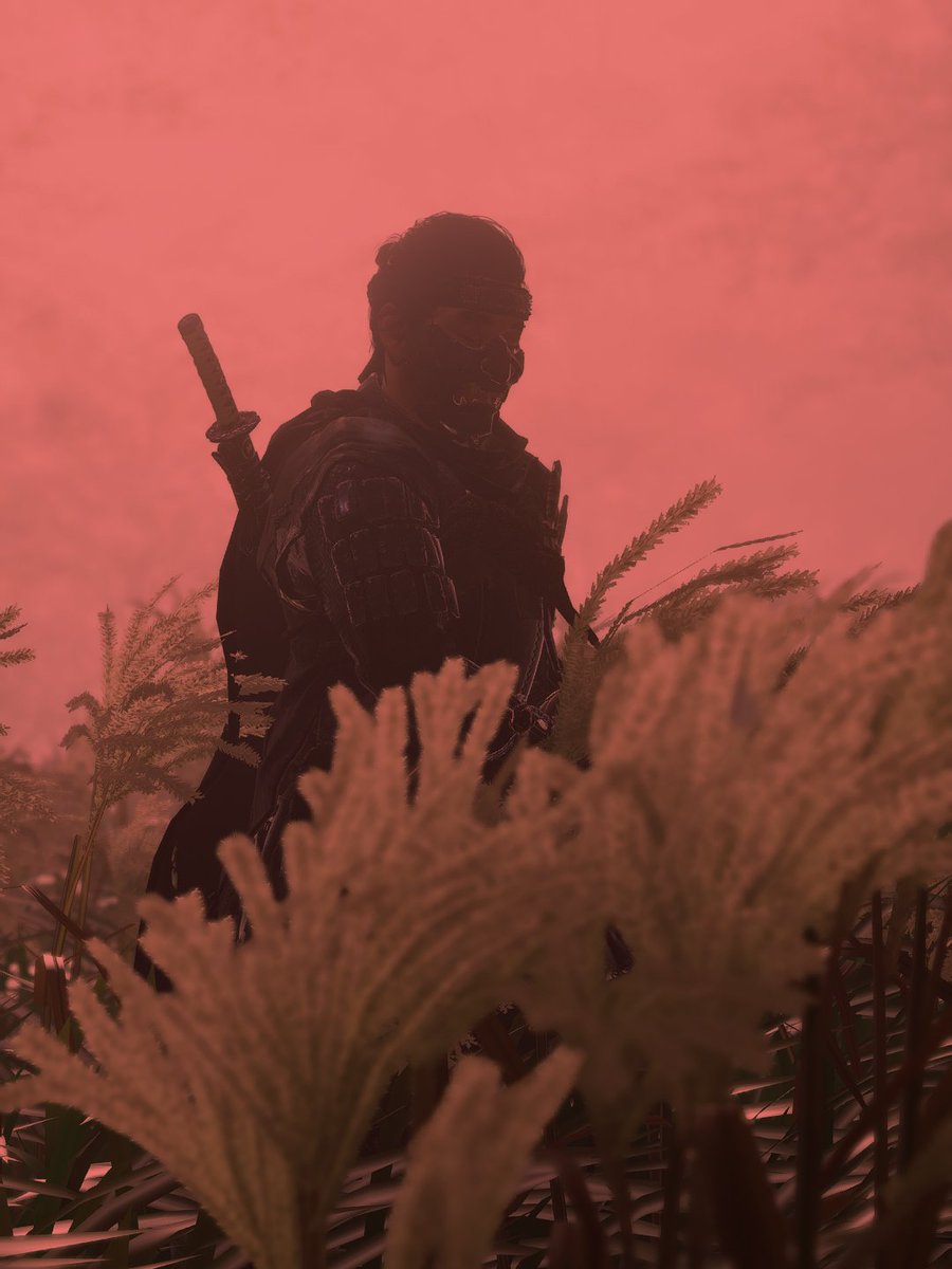 eezioPritomRTs's tweet photo. Ghost of Tsushima 
@SuckerPunchProd

#GhostOfTsushimaPC #VirtualPhotography #VGPUnite #ThePhotoMode #WorldofVP 
#VPRT https://t.co/LjSGurpkrb