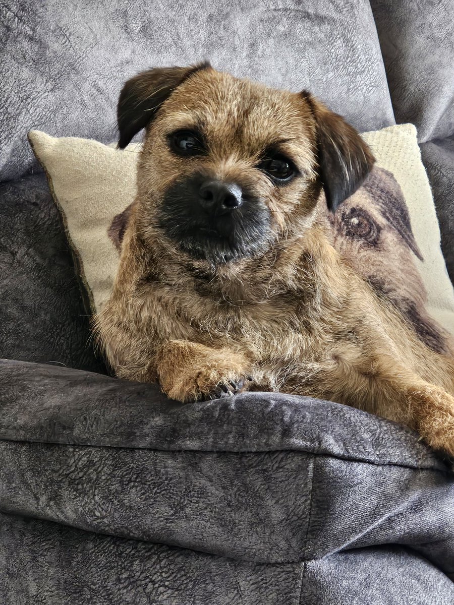 formerly Tilly BT, but now with Maggie tweet media