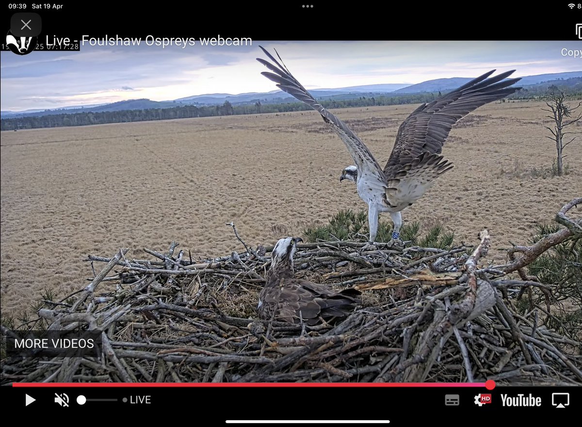 Dave Coverdale tweet media