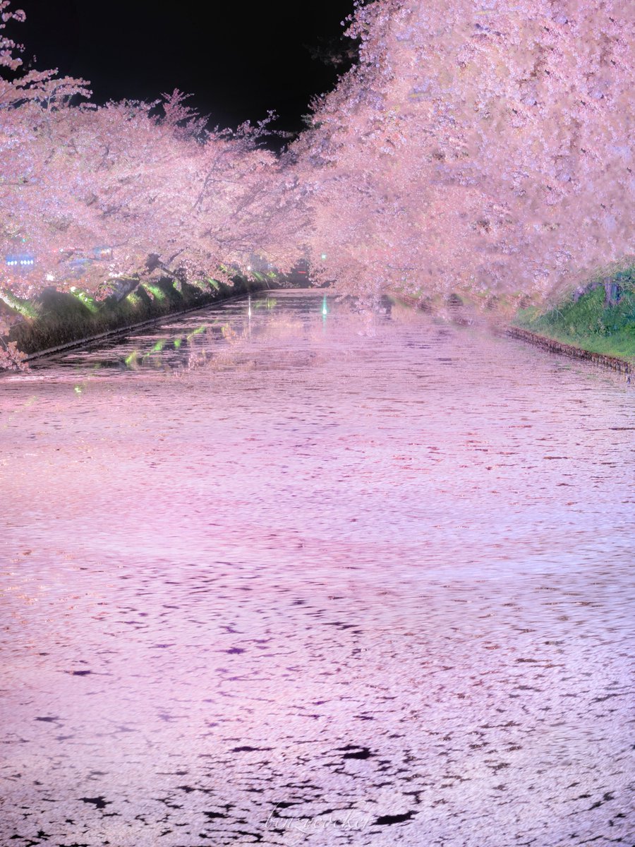 零れ桜