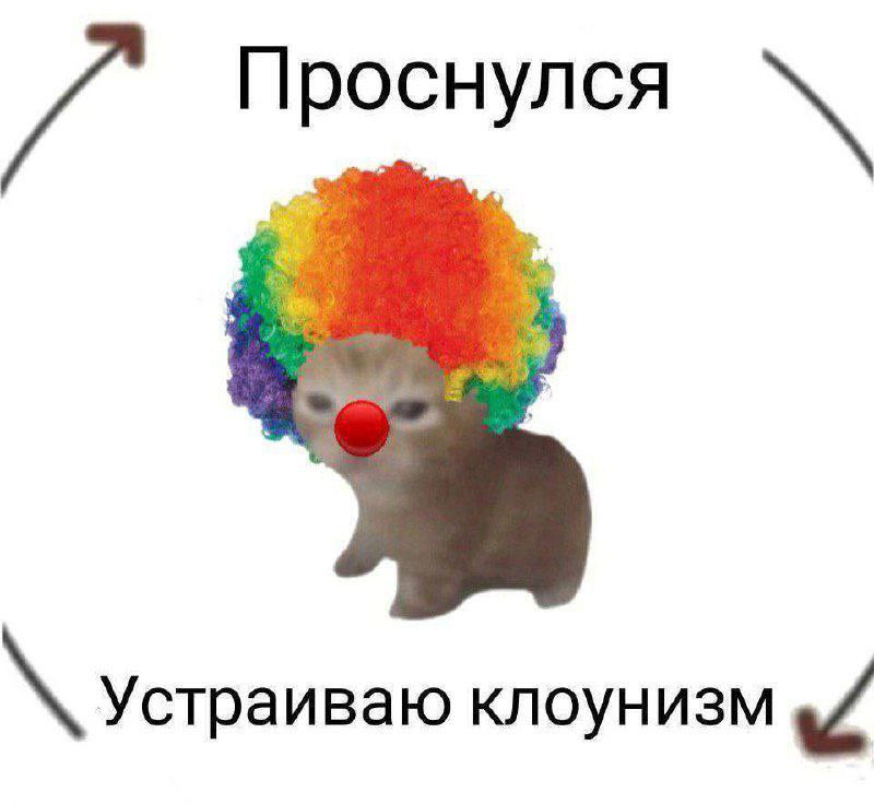 nrozvizev's tweet photo. И никак иначе https://t.co/gsZwk02iUj