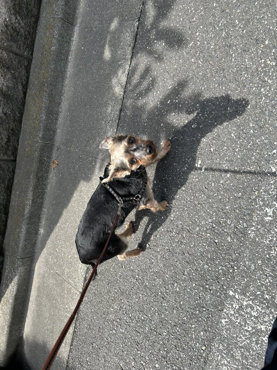 #これを見た人は無言で去年の4月の画像を貼る 