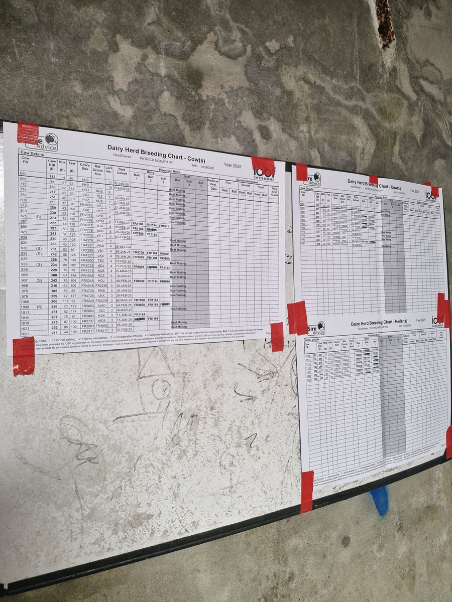 2pintpaddy's tweet photo. Sire advice on herdplus definitely makes life a bit easier in relation to picking a team of bulls , bull allocation to cows and my AI man seeing what bull to use on his handheld etc.
@HerdPlus #ProfitThroughScience #WestCork🇮🇪🐄 #BreedingSeason2025 https://t.co/X4ag6qUyMt