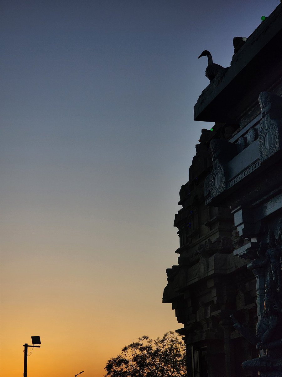 Ayotsktsktsk's tweet image. Hello