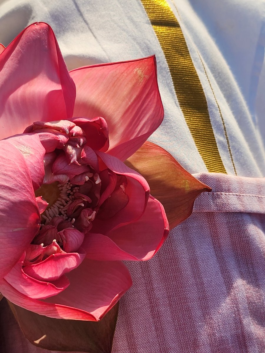 Ayotsktsktsk's tweet image. Hello