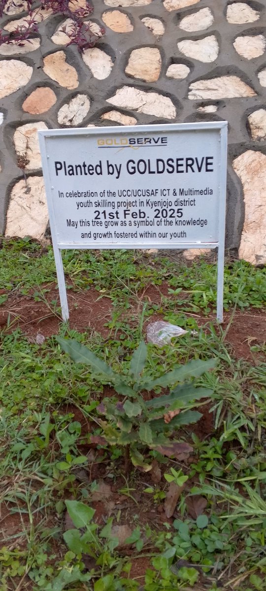 OchaakiJ84363's tweet photo. Review on the offer from #Multimediatraining Kyenjojo District. Thanks @GoldServe_ the growth increase
@CBulungi
@KiyimbaReagan1
@Bishop494541611
@ConsumerUCC
@UCC_ED
@UCC_Official
@MoICT_Ug
@KdmDev83948
@ForexMoney256 https://t.co/S7y4aBvLKt