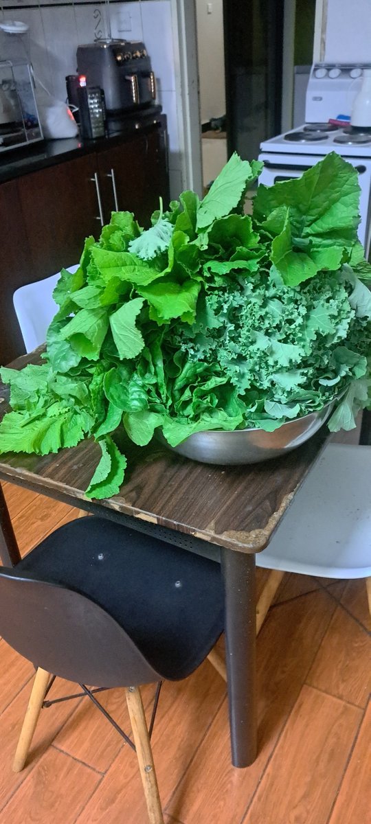 Anedy_MT's tweet photo. If you are near ku ma off shantumbu come and get some fresh vegetables from the garden. https://t.co/8OIwo7bXVx