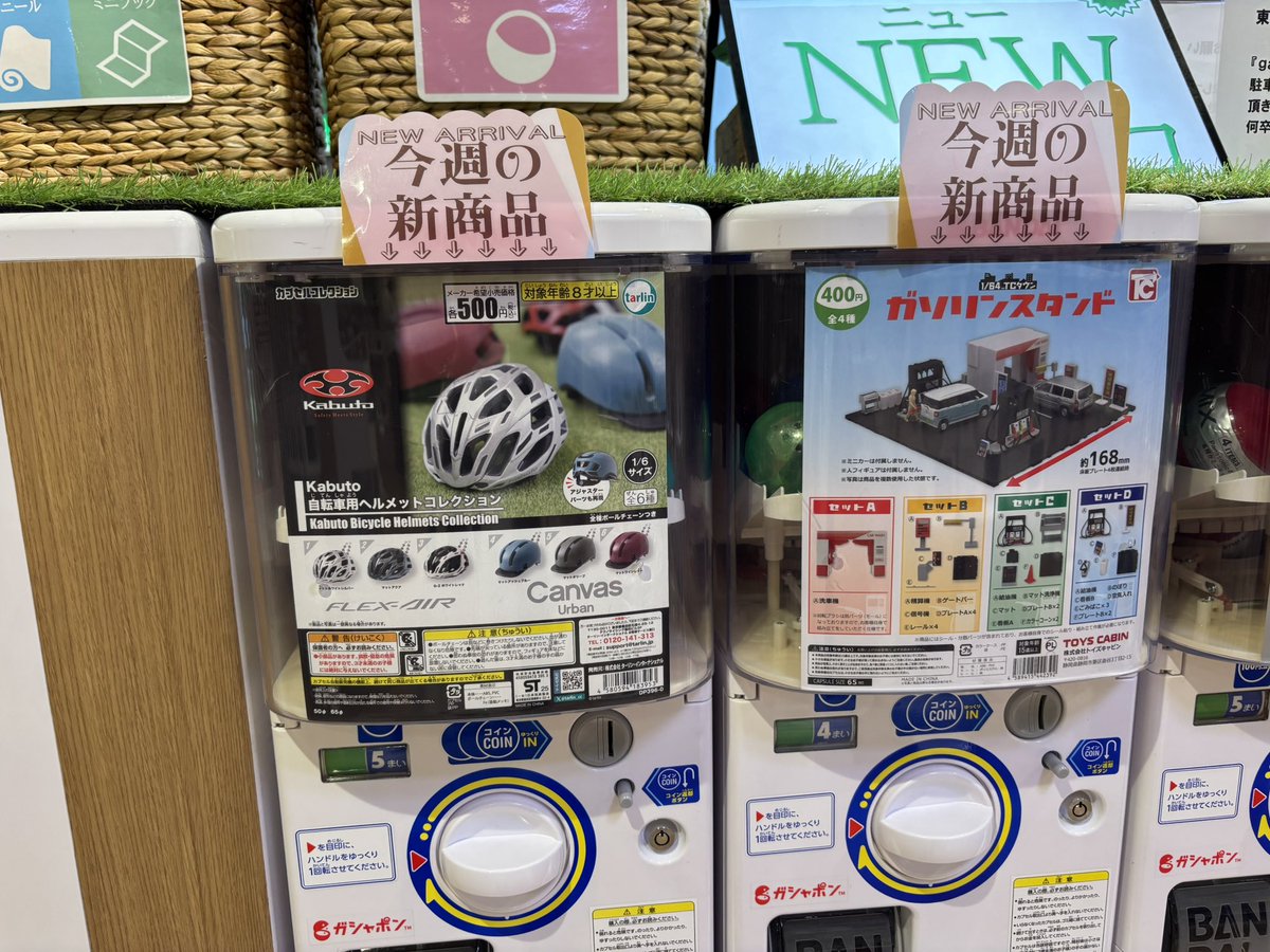 june_motosaka's tweet image. 自転車ヘルメットのガチャ見つけました。2回まわして自分のメットに似たやつが出て嬉しい🙌
1/6サイズだけどフレックスエアはキャンバスより少し小さめでドール着用は厳しそう。キャンバスの方はmomokoにぴったり！(サヤカには無理でした)1/6ロードバイクも欲しい🚴‍♂️
#ogk #kabutoガチャ
#momokodoll