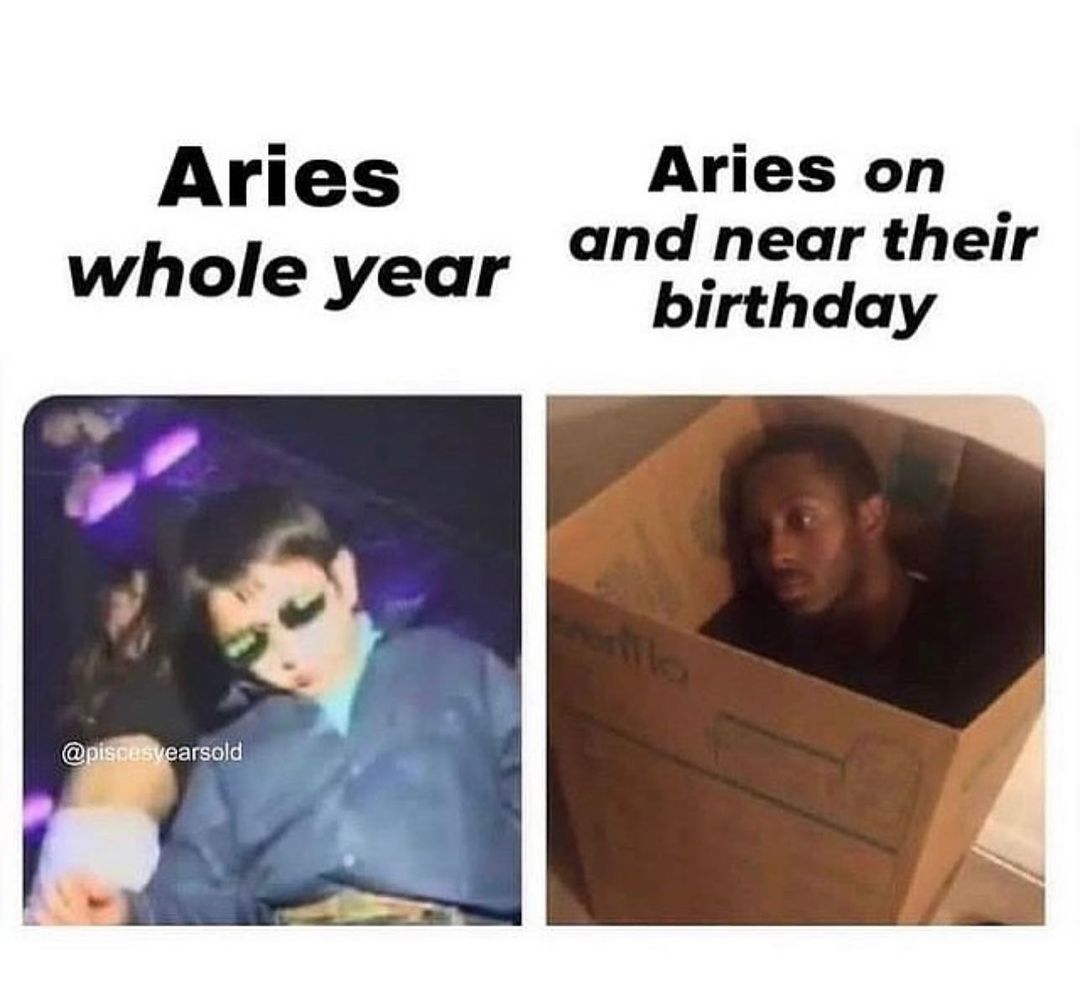 ariesalwayss's tweet photo. aries be like: https://t.co/ETbDPijPKm