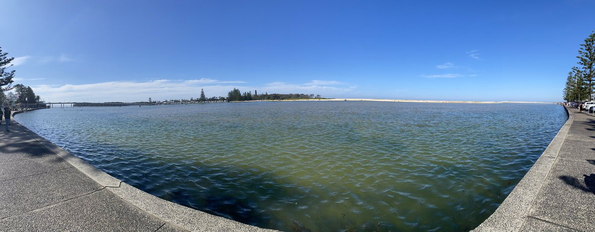 p_terg's tweet image. Why I haven’t been online today #NotFacebook #Latergram 1/3