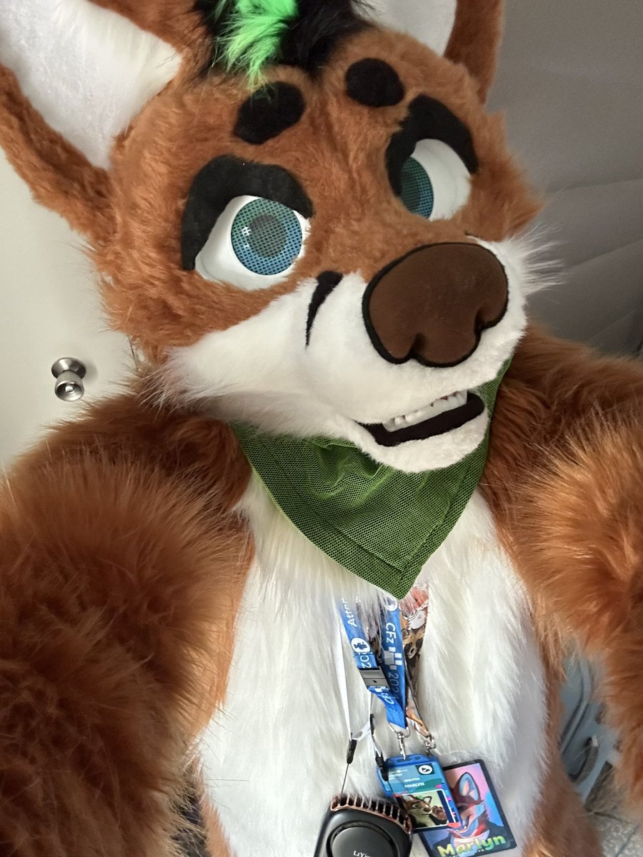 Marlyn π¦ π CFz, EF (@marlynfoxxo) on Twitter photo *grabs you* meet day, meet day!
Excited to head back to <a href="/BrumFurs/">BrumFurs πΎ</a> today, can't wait to see everyone π *grabs you* meet day, meet day!
Excited to head back to <a href="/BrumFurs/">BrumFurs πΎ</a> today, can't wait to see everyone π