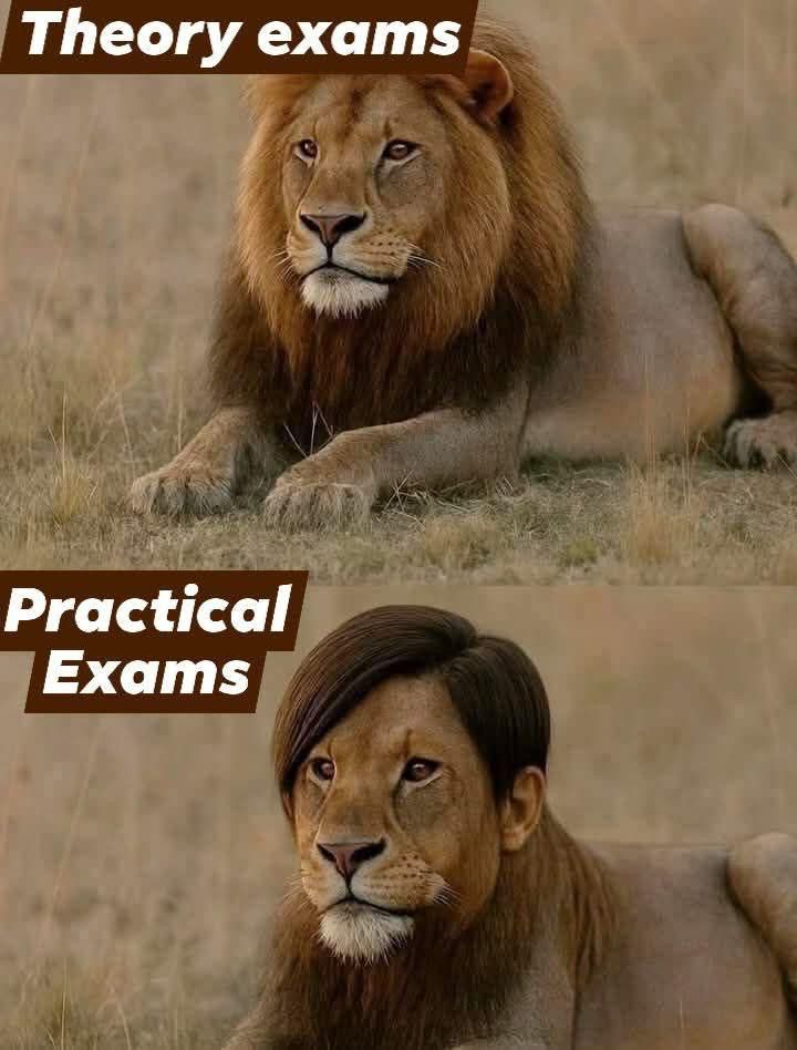 Viral on Social Media today