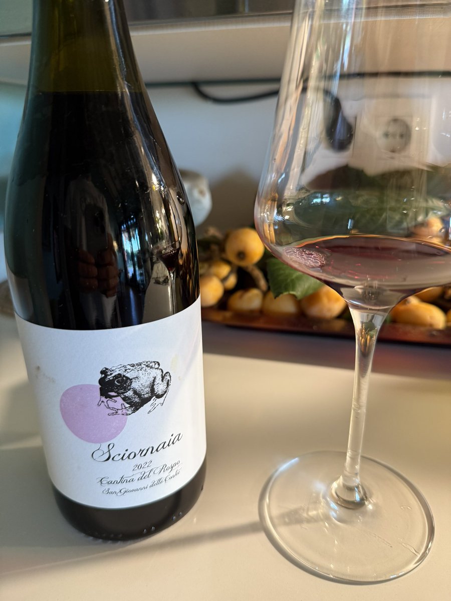 JavierInfanteB's tweet image. Magníficos estos dos vinos que me han regalado en mi último viaje a Roma. El Inferno (Sangiovese) algo más serio, elegante y concertado, agradecerá algún año de guarda. El Sciornaia un zumo natural de cerezas, limpio jugoso y equilibrado. Merecen mucho la pena los dos.