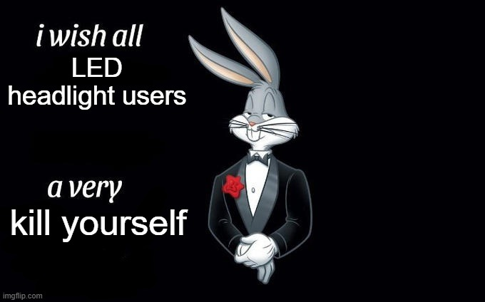 Sunny ☀️🐻 tweet media