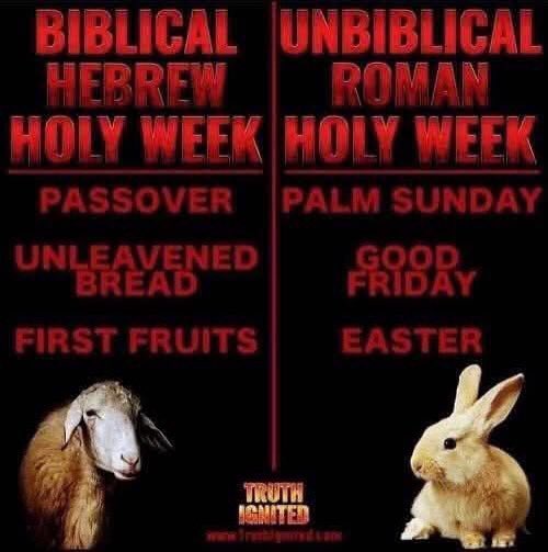 Sirach-Ben-Israel (@israelsirach) on Twitter photo 