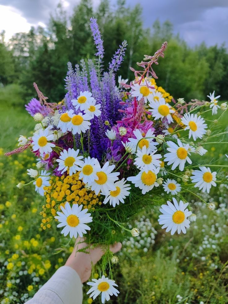 greenvibe's tweet photo. https://t.co/4U0BycwbdW
