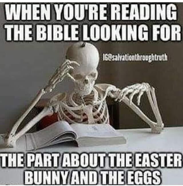 Sirach-Ben-Israel (@israelsirach) on Twitter photo 