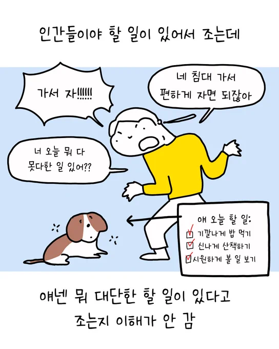 세상에서 제일 어이 없는 거: 강아지들 조는 거 