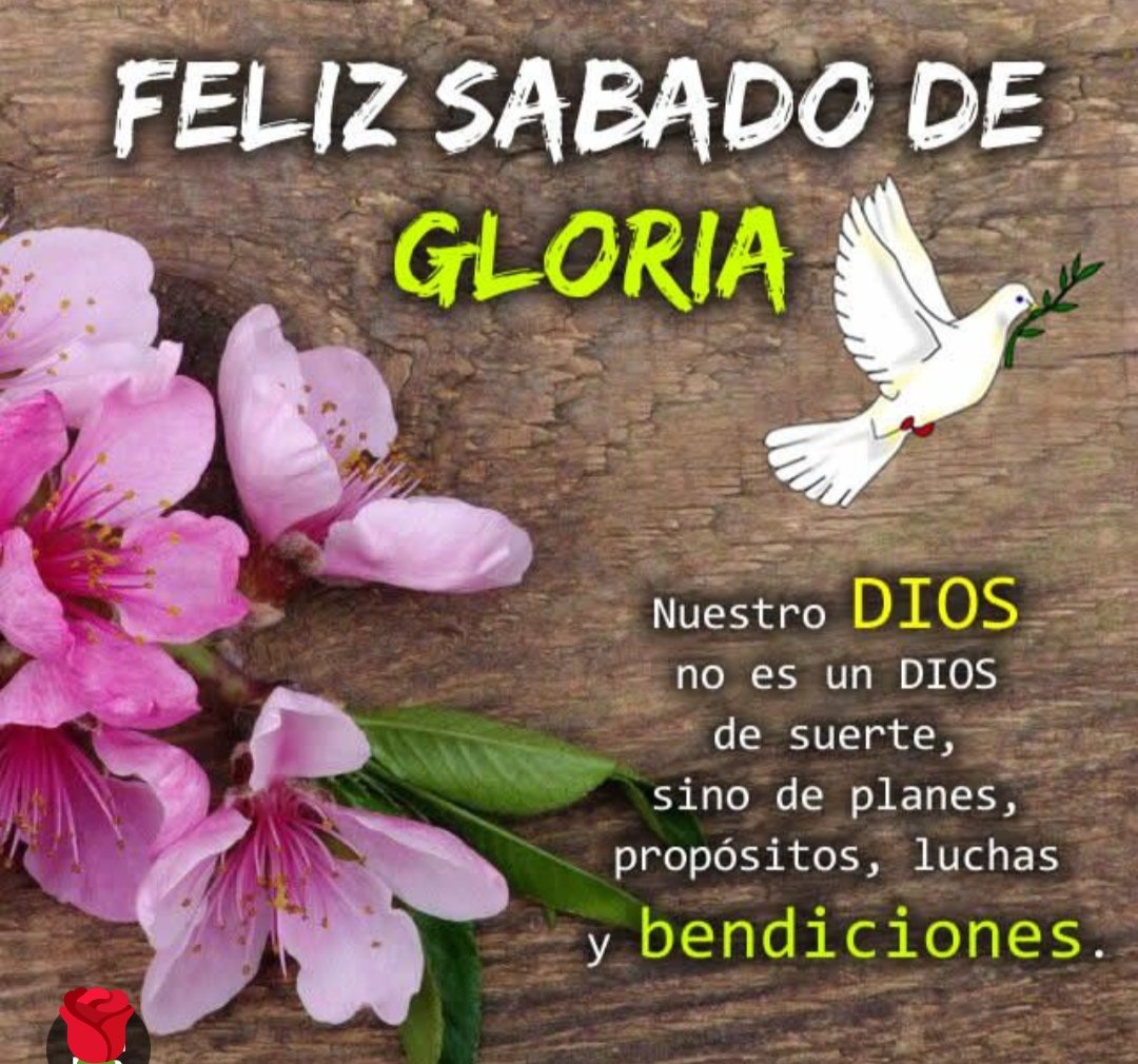 AdanAlonzo3's tweet photo. https://t.co/zBNUfNQMwK