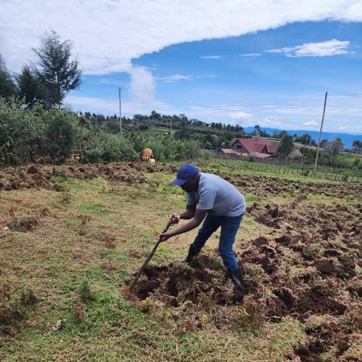 GideonKimaiyo_'s tweet image. Kazi Bila Break....10 by 10. How&apos;s your Easter holiday coming along?