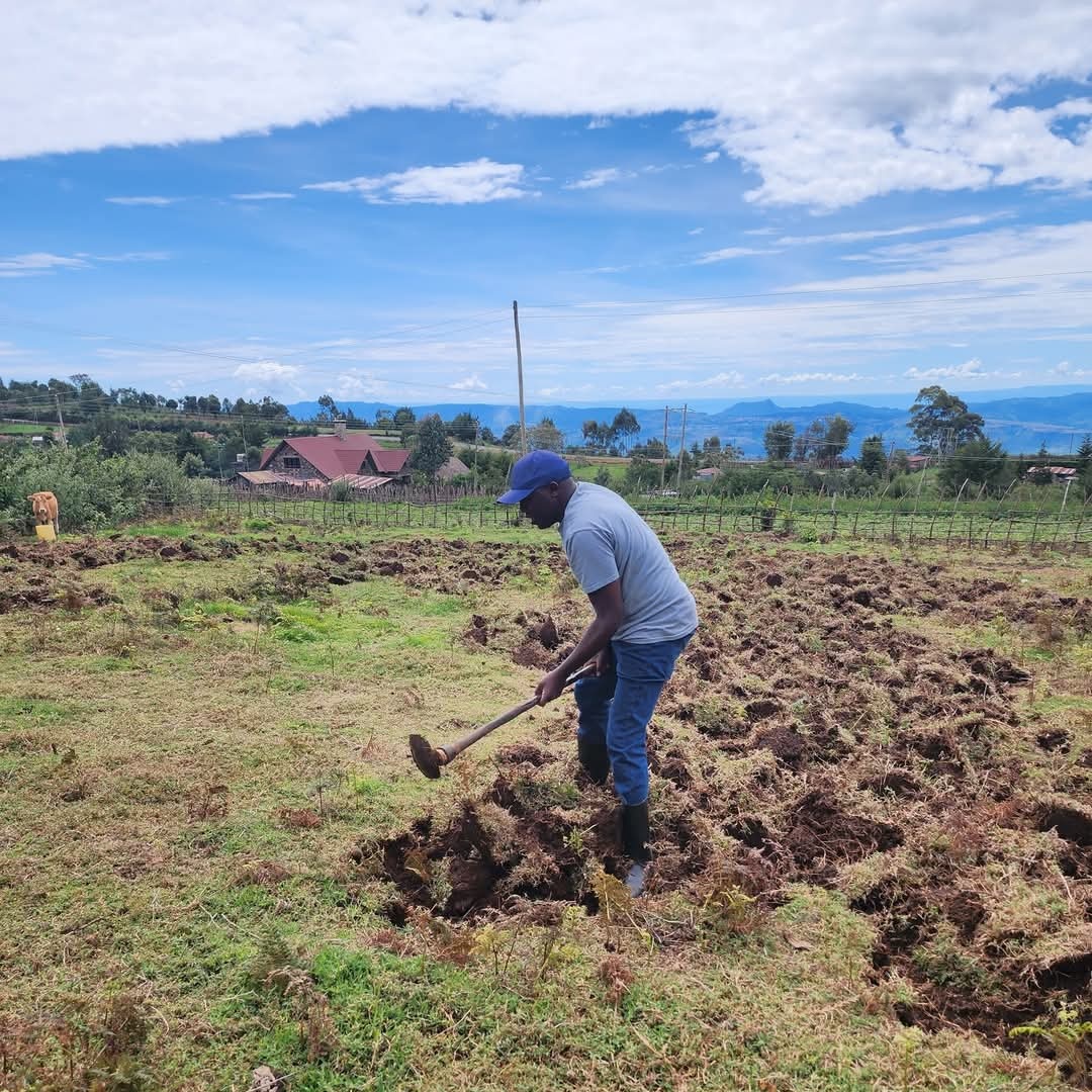 GideonKimaiyo_'s tweet image. Kazi Bila Break....10 by 10. How&apos;s your Easter holiday coming along?