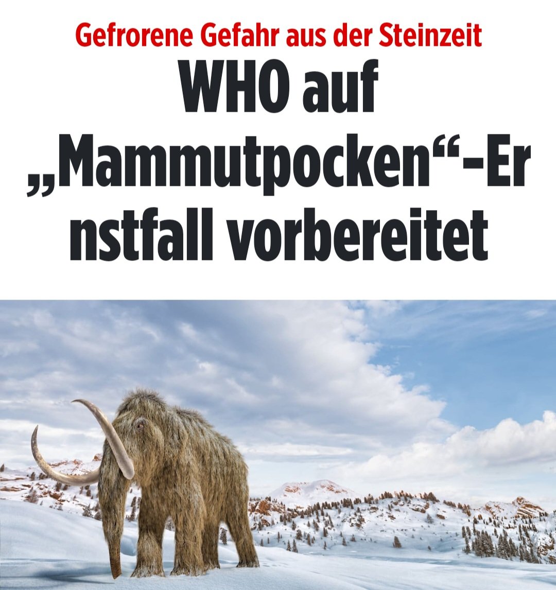 MAMMUTPOCKEN‼️😂😂😂
Auf der verzweifelten Suche nach einer neuen "Pandemie" geht die WHO jetzt richtig steil!
Dann müssen jetzt halt #Mammutpocken her! 😂😂😂