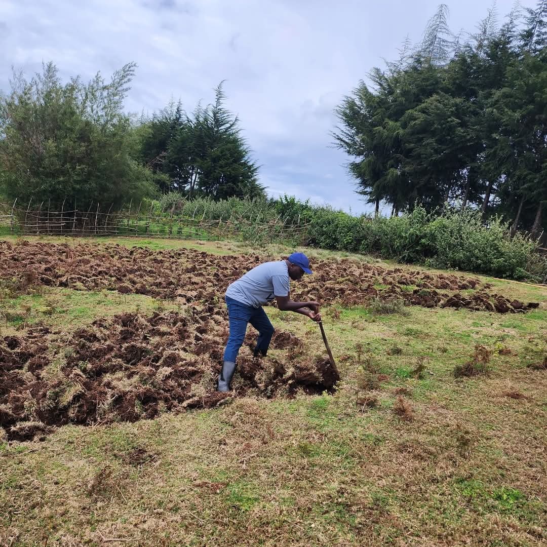 GideonKimaiyo_'s tweet image. Kazi Bila Break....10 by 10. How&apos;s your Easter holiday coming along?