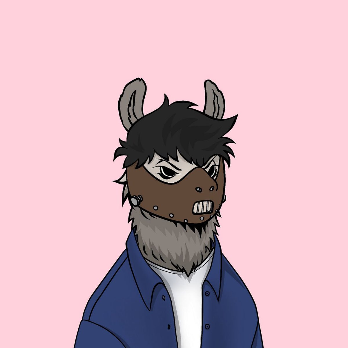 Saint 🦙 tweet media