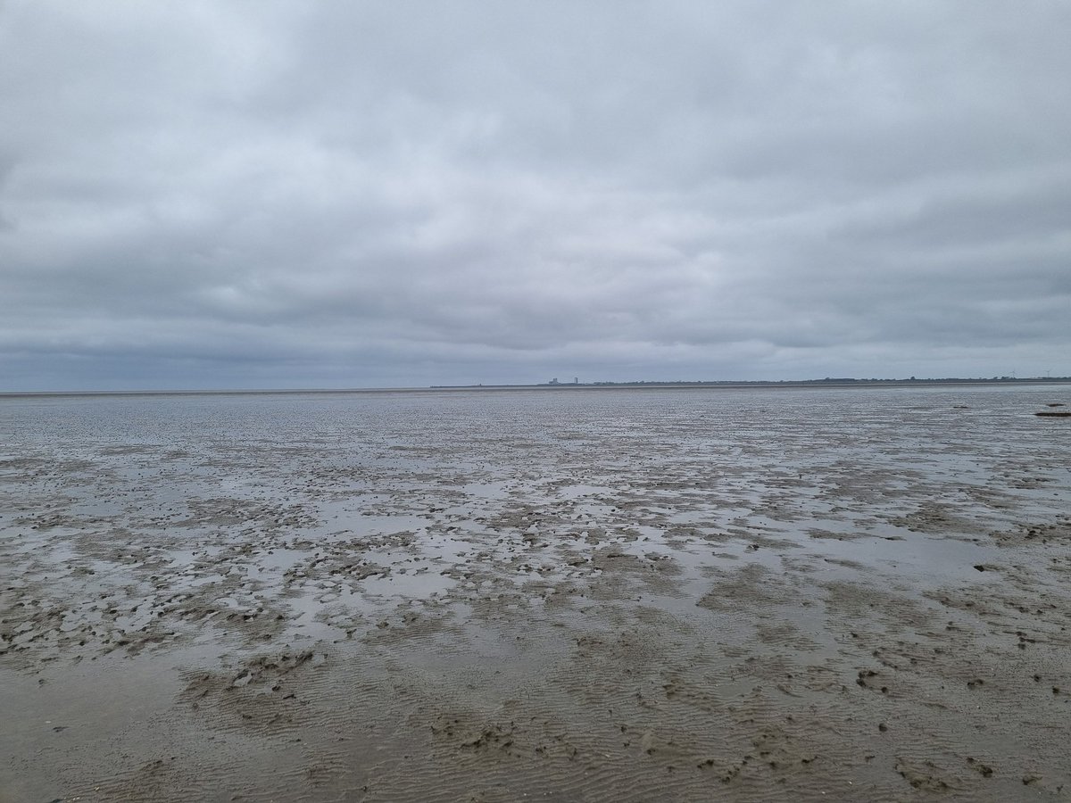 2025-April - Dithmarscher Bucht