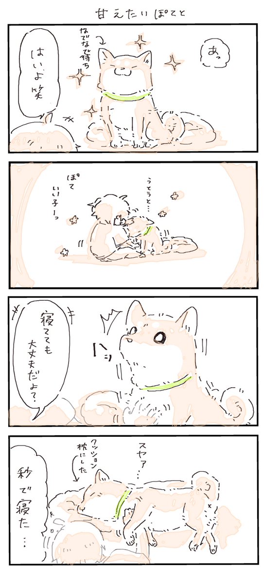 #4コマ漫画 #柴犬
甘えたいぽてと 