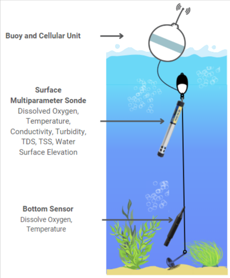 LakeTechinc's tweet photo. Anyone looking to help Vibe (or non-vibe lol) code a fun project for https://t.co/WgqjFxk4hz?
We are looking for someone to help us make a drag and drop editor for people to configure their water quality monitoring buoy set ups. Dm to discuss proposal. https://t.co/F32oiSO44z