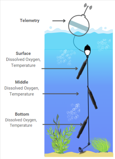 LakeTechinc's tweet photo. Anyone looking to help Vibe (or non-vibe lol) code a fun project for https://t.co/WgqjFxk4hz?
We are looking for someone to help us make a drag and drop editor for people to configure their water quality monitoring buoy set ups. Dm to discuss proposal. https://t.co/F32oiSO44z