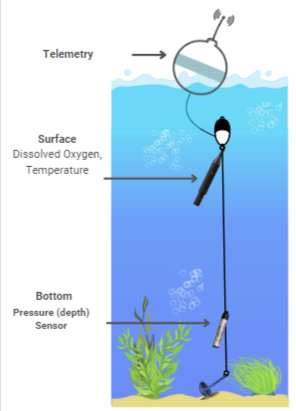 LakeTechinc's tweet photo. Anyone looking to help Vibe (or non-vibe lol) code a fun project for https://t.co/WgqjFxk4hz?
We are looking for someone to help us make a drag and drop editor for people to configure their water quality monitoring buoy set ups. Dm to discuss proposal. https://t.co/F32oiSO44z
