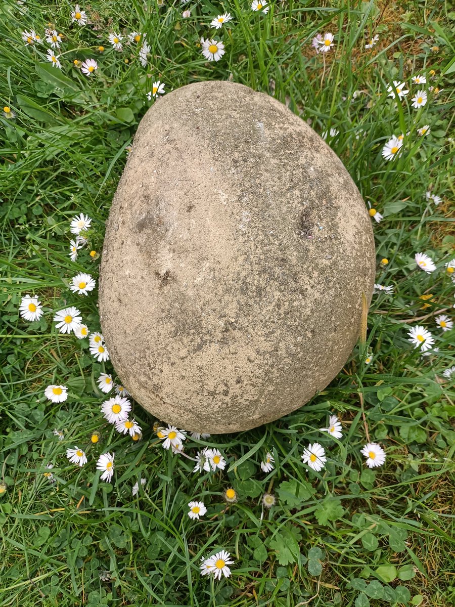 Buona Pasqua dai botroidi