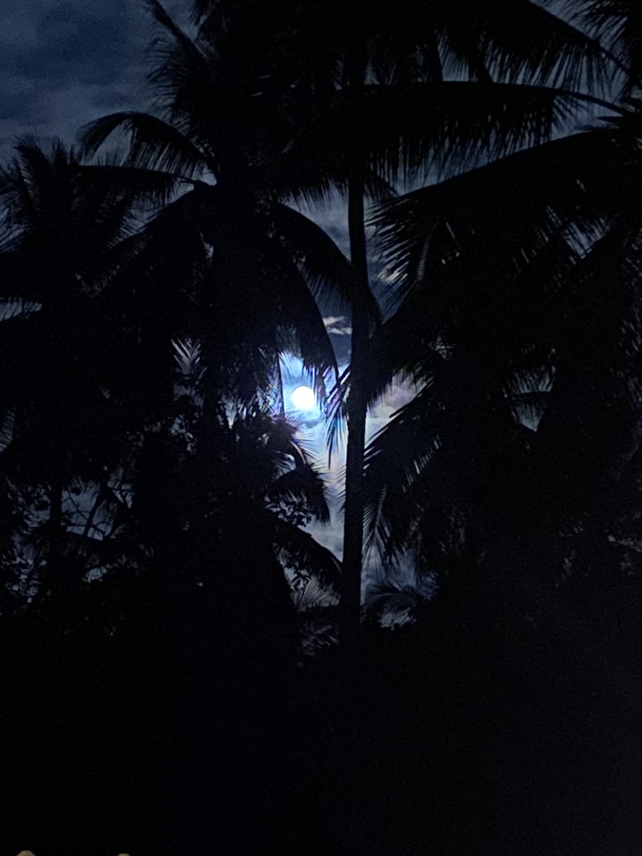 darylbaby97's tweet photo. You lived a worthwhile life Binnie ❤️
You will always be loved and remembered 🌙
Memories of the Moon
@offclASTRO 
https://t.co/fm3GadIZbk https://t.co/ArJ3tZemJx