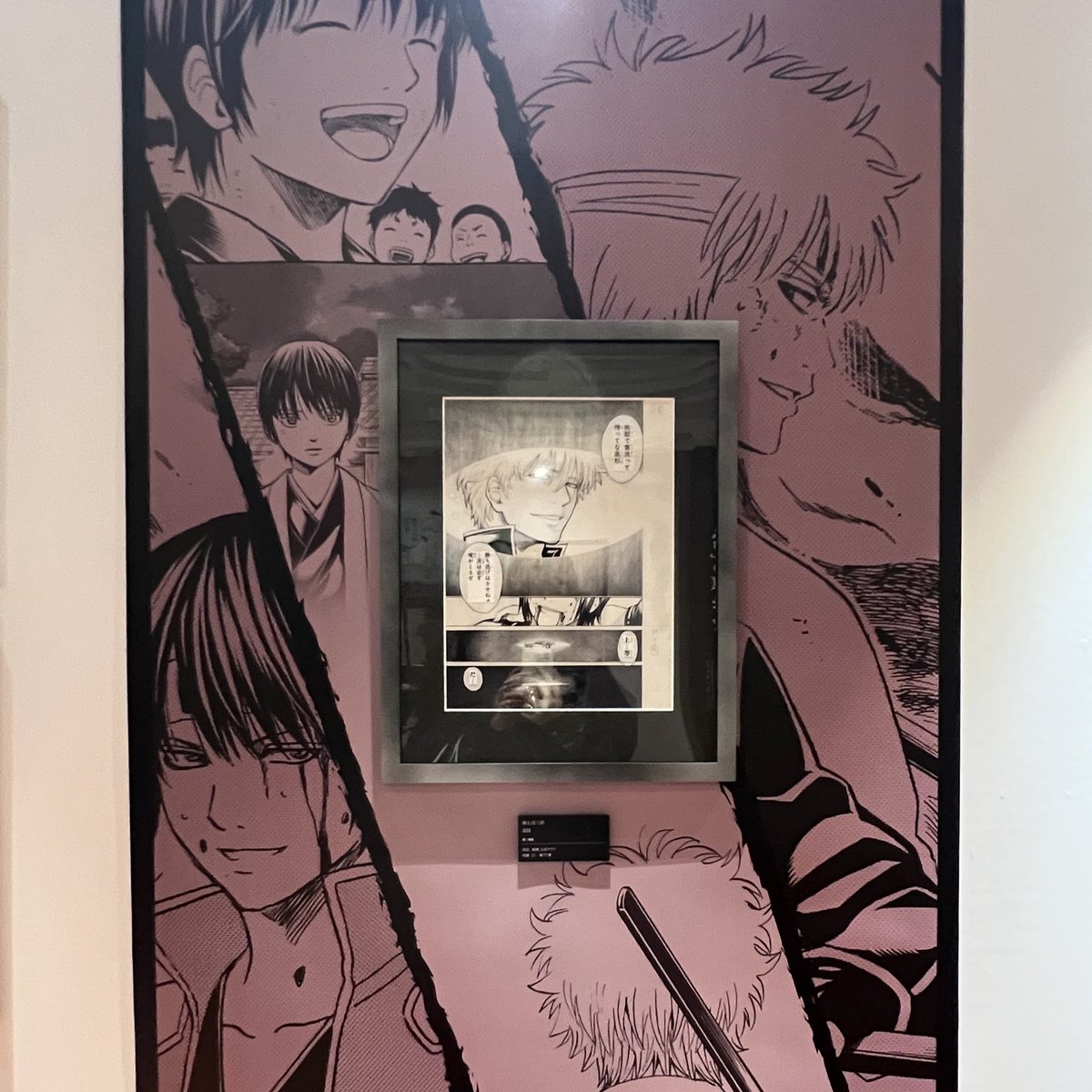 行って参りましたわ〜〜〜 ꌩ  ̫ ꌩ