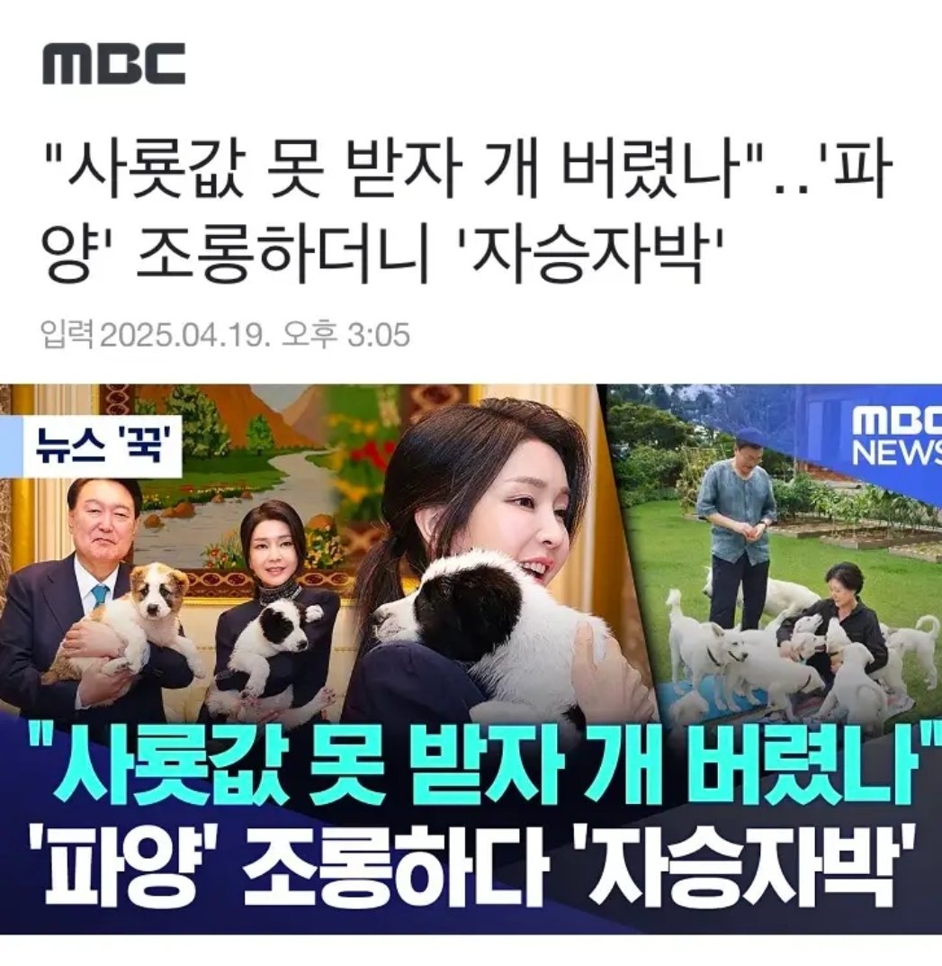 동물보호단체 주디 꾹 다물고 있냐?