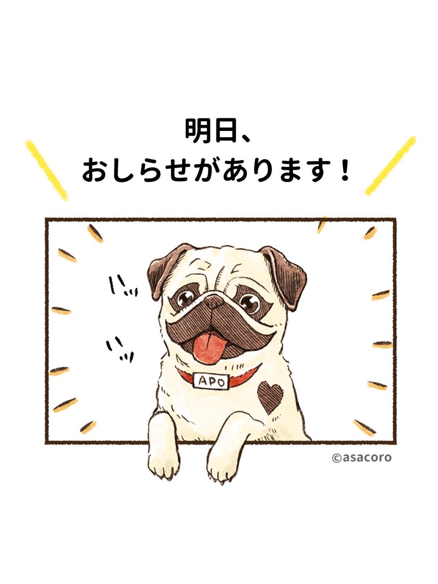 お楽しみに〜! 