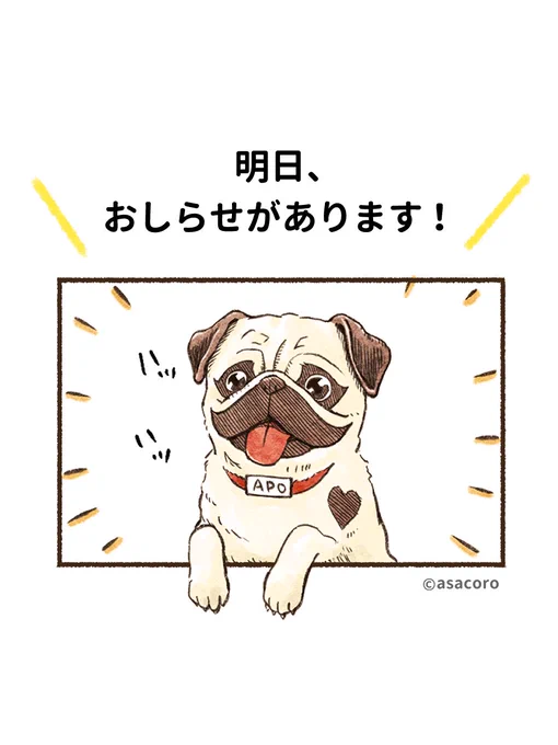 お楽しみに〜! 