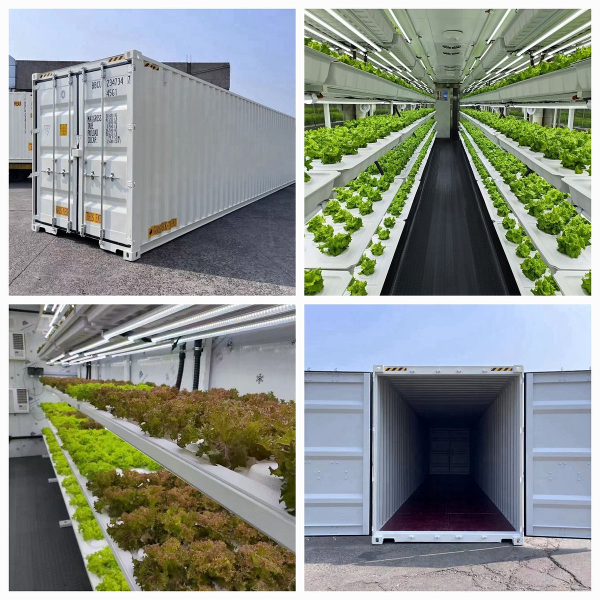 DeroNgabz's tweet photo. What do you think of this Cycle Free Grow Containers?
#hydroponics #hydroponicsystem #hydroponicfarming
#container #containerhome #shailenzo #ValeTudo #yinyin_anw https://t.co/aDj65vThQt